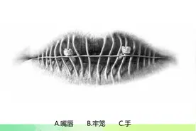 你第一眼看到的是嘴唇还是手？测测你的性格是怎样的，超准视频封面