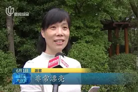 杭州西湖荷花初盛开 荷塘月色美景引人入胜视频封面
