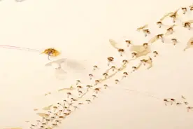 新房刚拿到手，楼板上却被迫打满膨胀螺丝，业主一提这事都气炸了