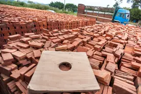 淘汰“泥老虎”行业 湖州市年内将全部关停粘土砖瓦窑图片