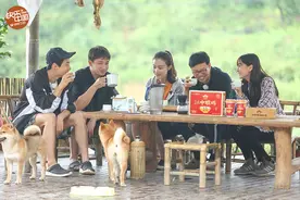 《向往的生活》倪妮杨颖下田抓螺蛳被困吕思清刘宪华斗琴奏古典乐图片