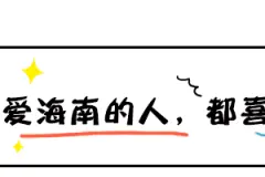 除特殊情况外，海南省级预算单位购公车都将选用新能源汽车图片