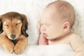 孩子中午睡觉有这些好处，你家孩子中午睡觉吗，睡多久？