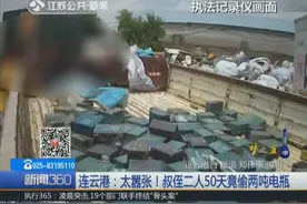 叔侄俩50天偷400块电瓶近2吨重，当废品论斤卖，获利1万多元