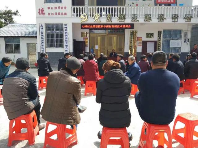 巾帼故事｜“女子尖刀班”班长皇甫鸿，扑下身子为群众不负重托干实事