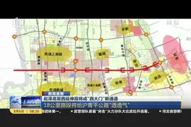 长达18公里！上海青浦区崧泽高架西延伸段将成“西大门”新通道！视频封面