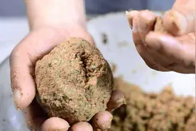 原来一般饵料粘性低，是这原因视频封面