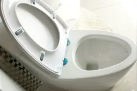 食盐倒进马桶里太厉害了，解决了所有家庭的烦恼，不知道太可惜了视频封面
