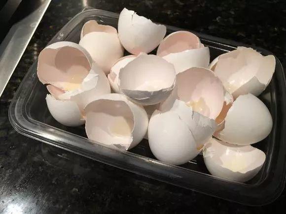 吃剩的海鲜壳可别扔，铺一层在盆底，长寿花长满花骨朵！