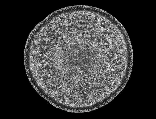 在你视线之内你却永远无法看到的宇宙：20张美到飙泪的照片！