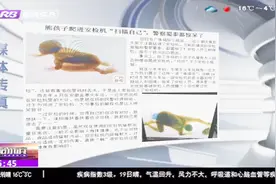 熊孩子爬进安检机 电脑留下清晰扫描影像 提醒：辐射大影响健康视频封面