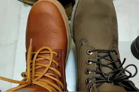 对比了一下帕拉丁和添柏岚图片