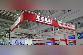 国产CPU龙芯中科冲科创板！自创指令系统，年营收超10亿图片