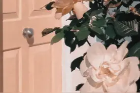 爱过双鱼座，会给你什么样的感受？图片