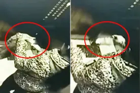 诡异！女子半夜12点电梯内烧纸钱，吓坏其他业主