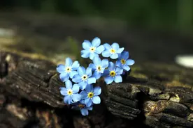 聪明男人征服女人靠的不是付出，而是这3个技巧，很有用图片