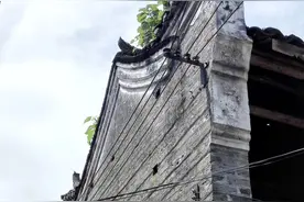 广西参议长蒋继伊(1)出身名医名师家图片