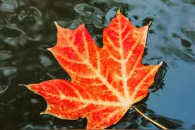 背叛以后，真心悔改的人，大都会这样做图片