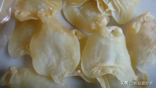 花胶存放时间 2026年花胶存放时间久了会坏吗