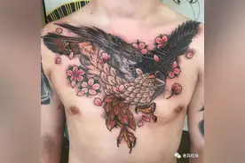 象征睿智的猫头鹰图案，真是每个风格都各有韵味和特点图片