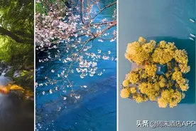 新发现！离尘不离城，2020年江浙沪首个度假大作图片