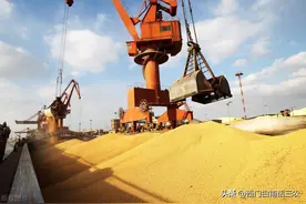 我国每年要进口1亿吨大豆，干嘛用了，为什么不让国内农民种植？图片