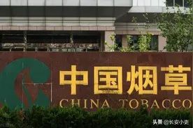 烟草系统招聘人员，哪些专业的毕业生更有机会进入烟草公司工作？图片