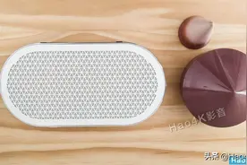 丹麦达尼 KATCH G2高音质无线蓝牙音箱简评图片