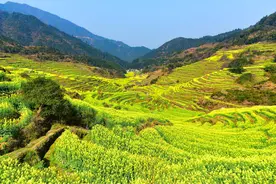 2021年，农村土地要统一收回重新分配？三大问题农民需注意图片