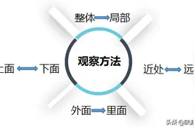 浙江省湖州市实验幼儿园教师许荃：从无序到有序，发展幼儿观察能力的几点举措图片