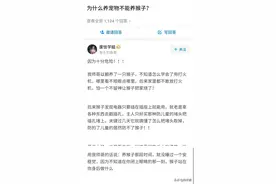 为什么养宠物不能养猴子？图片