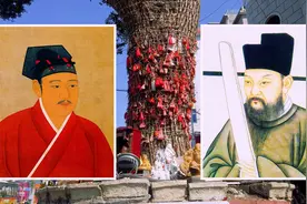 「政和县」因白茶味美博得龙心 皇帝亲赐年号取代之前的不雅名称图片