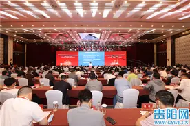 贵阳市长陈晏：贵阳贵安与江苏的交流合作源远流长、黔景广阔图片