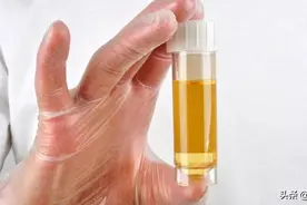 15个冷知识：出现的次数不多，或许奇怪但却存在的有趣事实图片