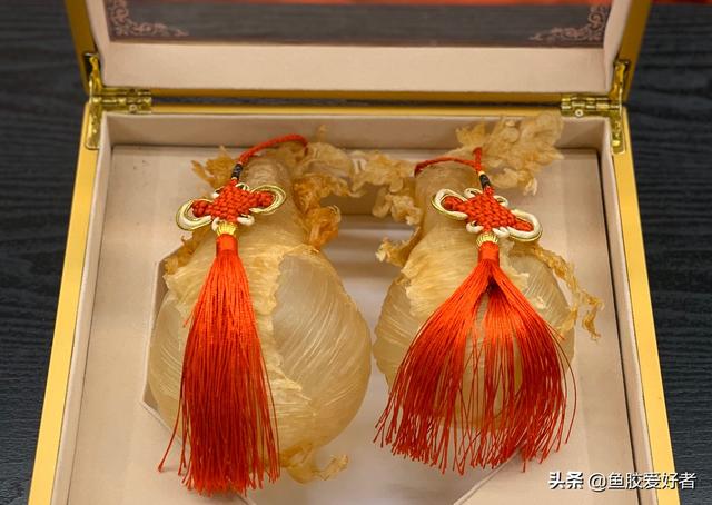 吃花胶多久 2025年吃花胶多久吃一次吃多久才有效果