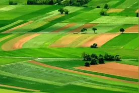 世界主要国家谷物自给率图片