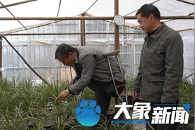 62岁的独腿老杨，在牛年有个特别的愿望图片