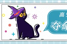 猫咪高空坠楼，惊险死里逃生图片