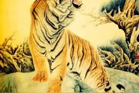 十二生肖之寅虎图片