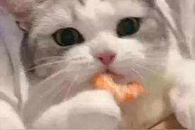 为什么同是公务员，工资却天差地别？待遇最好的三个岗位竟然是图片