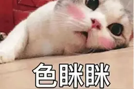 色喵撩妹教程，防止被封，单身狗尽快收藏图片