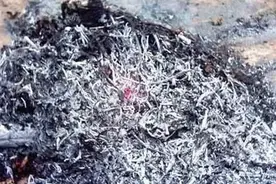 万能的草木灰，有哪些作用及使用方法图片