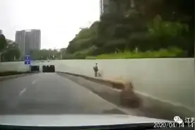 女子推婴儿车在隧道逆行“散步”！一司机开车刚进隧道吓出一身冷汗！图片