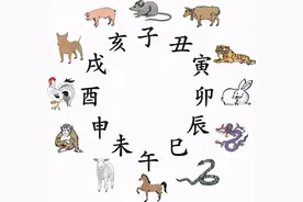 十二生肖的家都是什么图片