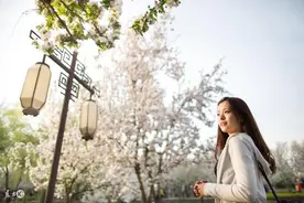 小说：我曝光了萝莉校花的秘密！然后我就变得很强大了……图片