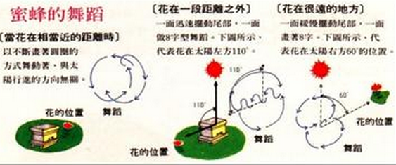 高中生物学习经验分享