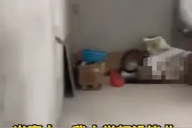 95后女孩工作十年攒28万买房：结婚没安全感，自己买房才最靠谱图片