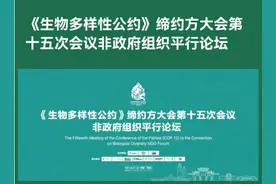 PMPM新一代国货顶尖科研自建研发实验室及原料数据库图片