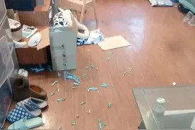 猫咪因疫情被困家中73天，独自顽强生存，再见主人，早已泪流满面图片