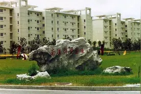 为什么很多人会觉得南汇（惠南）大学城衰落的很严重图片
